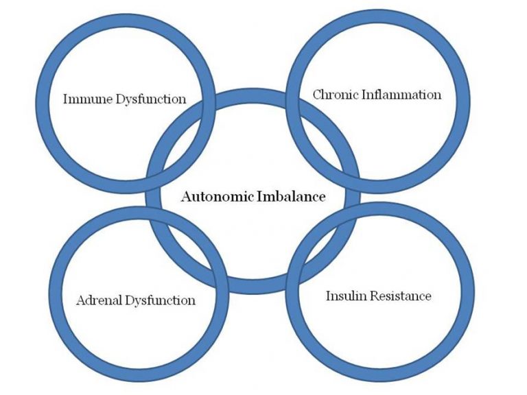 5 Pillars of Illness Colorado Springs Functional Medicine